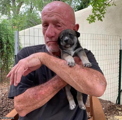 waltuh, look at this dog waltuh | made w/ Imgflip meme maker