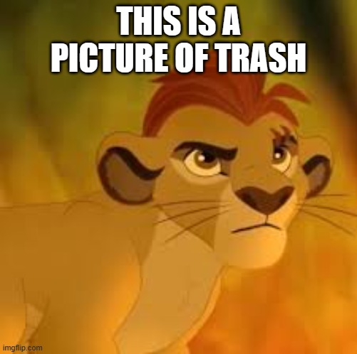 Kion crybaby | THIS IS A PICTURE OF TRASH | image tagged in kion crybaby | made w/ Imgflip meme maker
