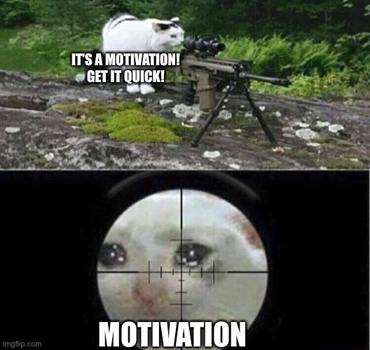 Sniper cat | IT’S A MOTIVATION! GET IT QUICK! MOTIVATION | image tagged in sniper cat | made w/ Imgflip meme maker
