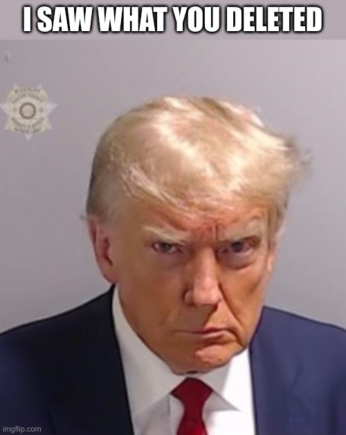 Donald Trump Mugshot | I SAW WHAT YOU DELETED | image tagged in donald trump mugshot | made w/ Imgflip meme maker