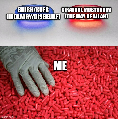 me fr | SIRATHUL MUSTHAKIM (THE WAY OF ALLAH); SHIRK/KUFR (IDOLATRY/DISBELIEF); ME | image tagged in blue or red pill,allah,sirathul musthakim,shirk,kufr,jannah | made w/ Imgflip meme maker
