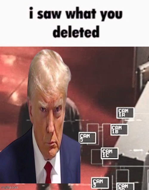 Trump saw what you deleted | image tagged in trump saw what you deleted | made w/ Imgflip meme maker