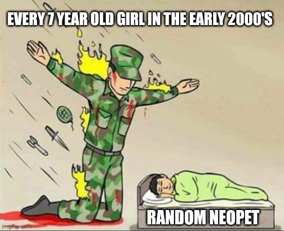 What happens when they die? | EVERY 7 YEAR OLD GIRL IN THE EARLY 2000'S; RANDOM NEOPET | image tagged in soldier protecting sleeping child | made w/ Imgflip meme maker