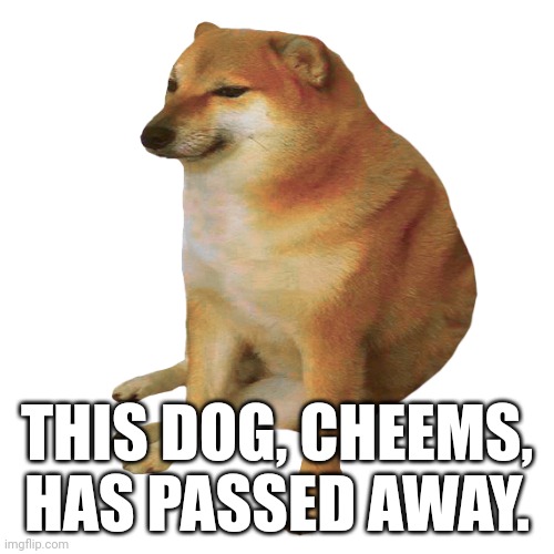 cheems | THIS DOG, CHEEMS, HAS PASSED AWAY. | image tagged in cheems | made w/ Imgflip meme maker