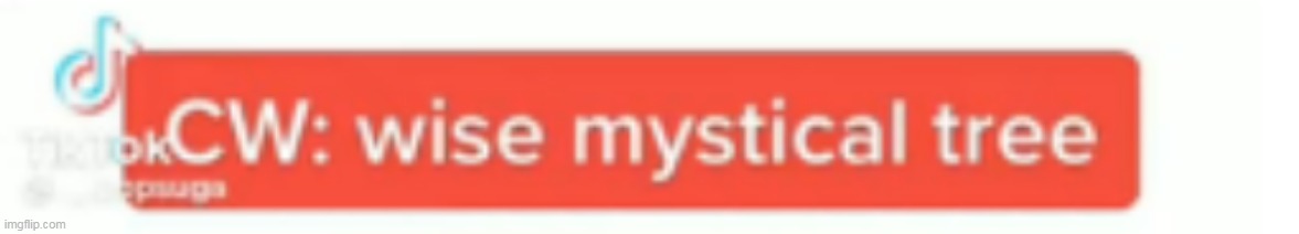 what | made w/ Imgflip meme maker