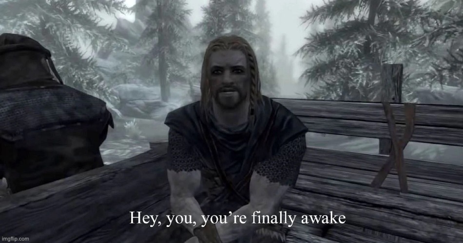 You're Finally Awake | image tagged in you're finally awake | made w/ Imgflip meme maker