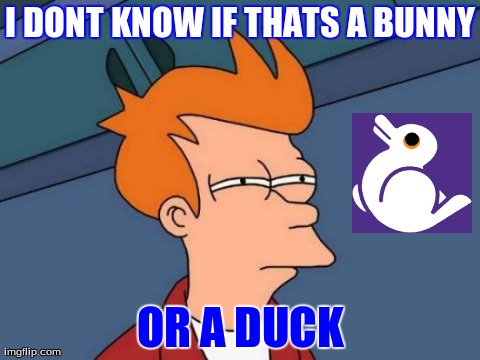 Futurama Fry Meme | I DONT KNOW IF THATS A BUNNY OR A DUCK | image tagged in memes,futurama fry | made w/ Imgflip meme maker