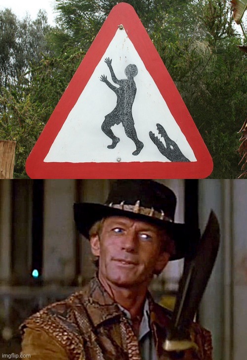 Crocodile: My last post on this stream for a while | image tagged in crocodile dundee knife,crocodile,memes,crocodiles,meme,signs | made w/ Imgflip meme maker