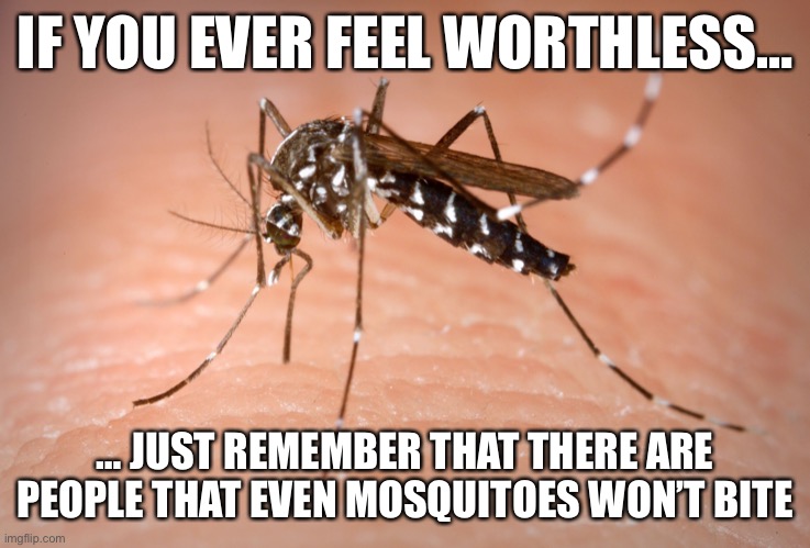 After being bitten 20 times today, seemed appropriate | IF YOU EVER FEEL WORTHLESS…; … JUST REMEMBER THAT THERE ARE PEOPLE THAT EVEN MOSQUITOES WON’T BITE | image tagged in mosquito | made w/ Imgflip meme maker