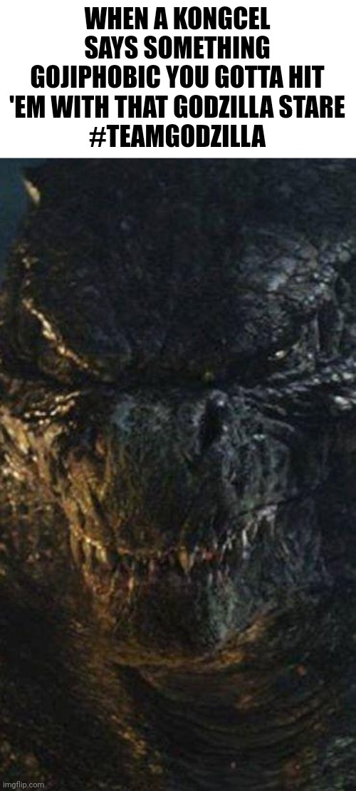 Team Godzilla Meme | WHEN A KONGCEL SAYS SOMETHING GOJIPHOBIC YOU GOTTA HIT 'EM WITH THAT GODZILLA STARE
#TEAMGODZILLA | image tagged in angry godzilla | made w/ Imgflip meme maker