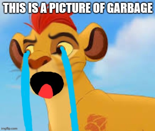 extreme crying kion crybaby | THIS IS A PICTURE OF GARBAGE | image tagged in extreme crying kion crybaby | made w/ Imgflip meme maker