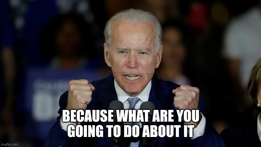 Angry Joe Biden | BECAUSE WHAT ARE YOU
GOING TO DO ABOUT IT | image tagged in angry joe biden | made w/ Imgflip meme maker