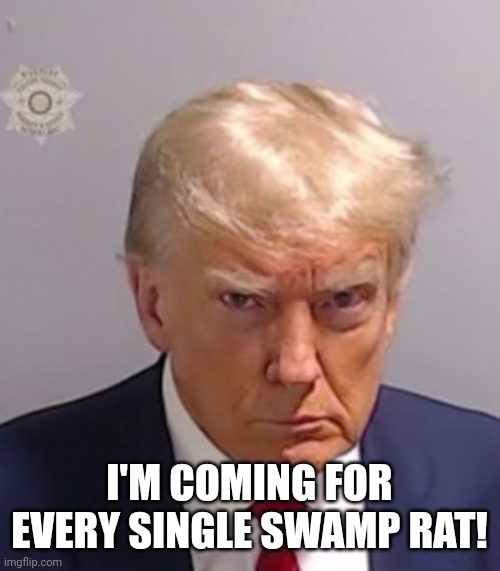 Donald Trump Mugshot | I'M COMING FOR EVERY SINGLE SWAMP RAT! | image tagged in donald trump mugshot | made w/ Imgflip meme maker