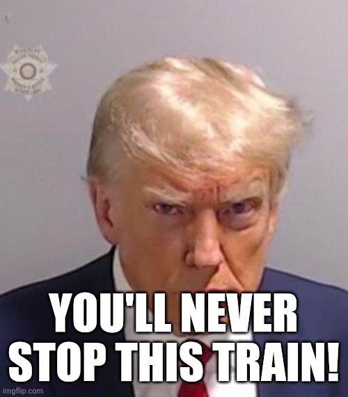 Donald Trump Mugshot | YOU'LL NEVER STOP THIS TRAIN! | image tagged in donald trump mugshot | made w/ Imgflip meme maker