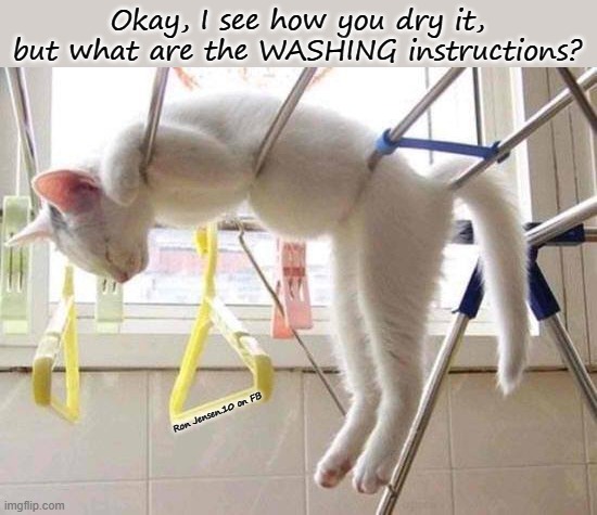 Wash Gentle Cycle? | Okay, I see how you dry it, but what are the WASHING instructions? Ron Jensen.10 on FB | image tagged in cats,cat,funny cats,funny cat memes,tired cat,sleeping cat | made w/ Imgflip meme maker