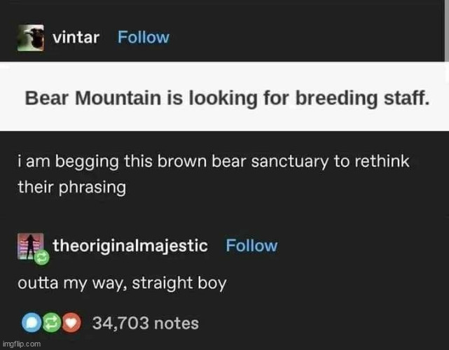 wait what? | image tagged in breeding,repost,bear,straight,gay,funny | made w/ Imgflip meme maker