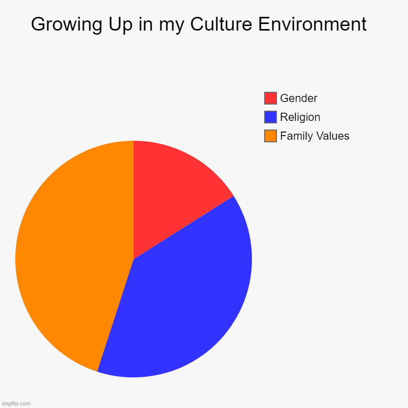 Growing Up in my Culture Environment | Growing Up in my Culture Environment  | Family Values, Religion, Gender | image tagged in charts,pie charts | made w/ Imgflip chart maker