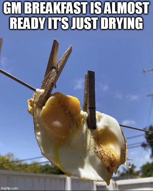 gm breakfast is almost ready it's just drying | GM BREAKFAST IS ALMOST READY IT'S JUST DRYING | image tagged in eggs,funny,breakfast,green eggs and ham | made w/ Imgflip meme maker
