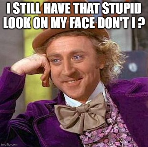 Don't I (mod note: yeah you do) | I STILL HAVE THAT STUPID LOOK ON MY FACE DON'T I ? | image tagged in memes,creepy condescending wonka | made w/ Imgflip meme maker