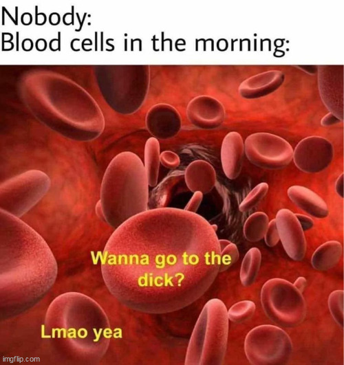 all the time | image tagged in dick,repost,blood,morning,morning wood | made w/ Imgflip meme maker