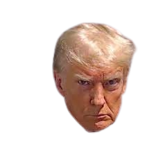 High Quality Trump Mugshot head only Blank Meme Template