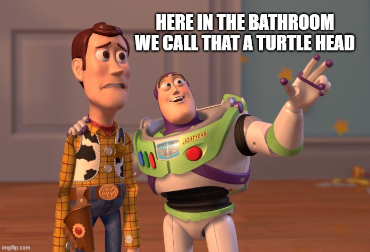 turtle head | HERE IN THE BATHROOM WE CALL THAT A TURTLE HEAD | image tagged in memes,x x everywhere | made w/ Imgflip meme maker
