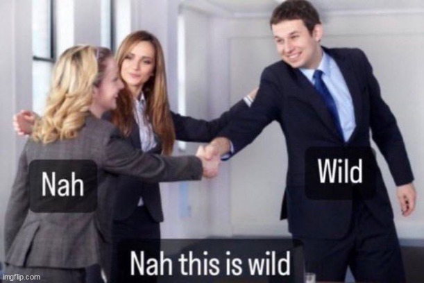 wild | image tagged in wild,repost,funny,nah | made w/ Imgflip meme maker