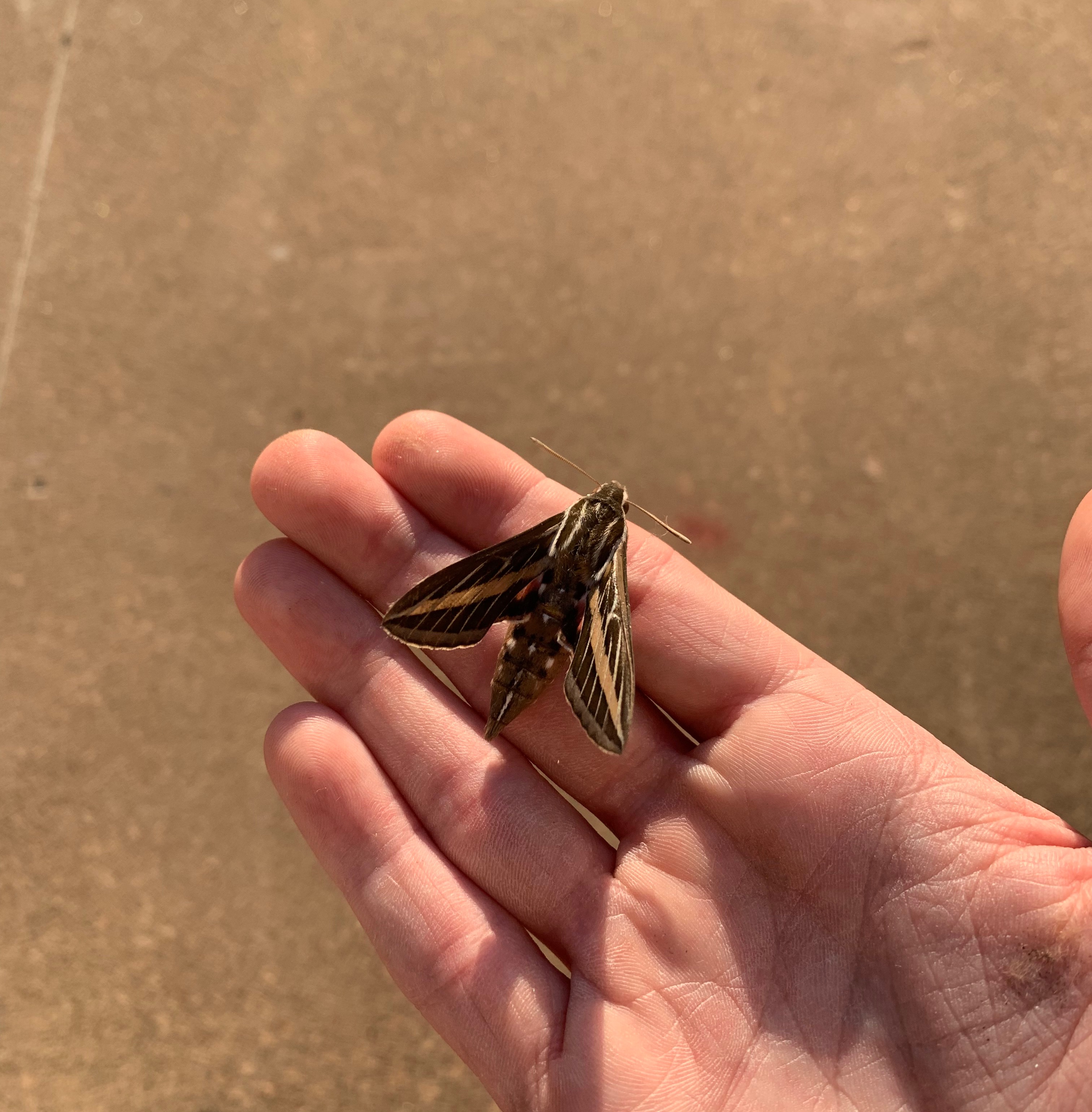 Dude bro | made w/ Imgflip meme maker