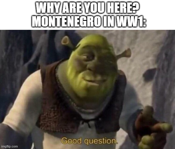 Shrek good question | WHY ARE YOU HERE?
 MONTENEGRO IN WW1: | image tagged in shrek good question | made w/ Imgflip meme maker
