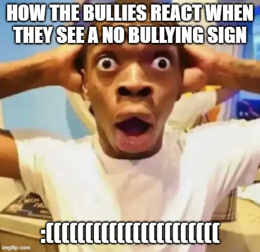 Shocked black guy | HOW THE BULLIES REACT WHEN THEY SEE A NO BULLYING SIGN; :(((((((((((((((((((((( | image tagged in shocked black guy | made w/ Imgflip meme maker