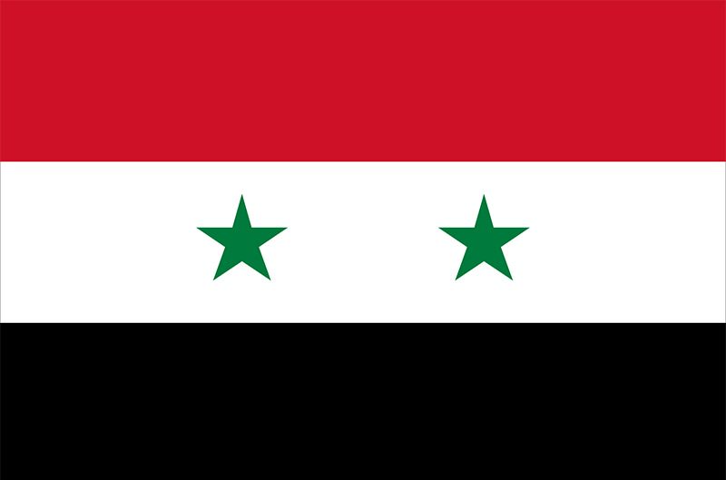 Flag of syria Blank Meme Template