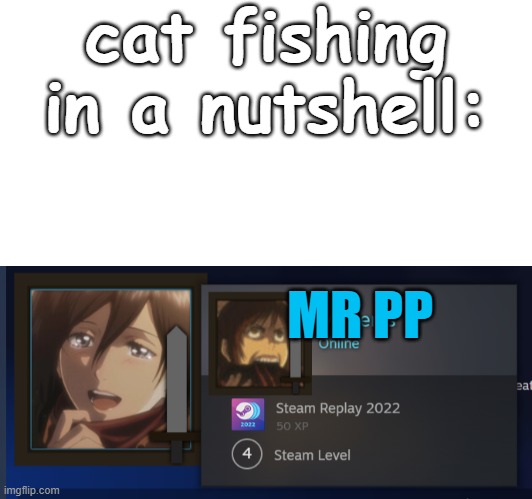 changed my profile pic on steam did this and i had to | cat fishing in a nutshell:; MR PP | image tagged in catfish,attack on titan,aot,shingeki no kyojin,snk | made w/ Imgflip meme maker