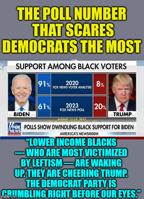 This is the poll number that has dems petrified... | THE POLL NUMBER  THAT SCARES DEMOCRATS THE MOST; “LOWER INCOME BLACKS — WHO ARE MOST VICTIMIZED BY LEFTISM — ARE WAKING UP. THEY ARE CHEERING TRUMP. THE DEMOCRAT PARTY IS CRUMBLING RIGHT BEFORE OUR EYES.” | image tagged in democrats,scared,trump,polls | made w/ Imgflip meme maker