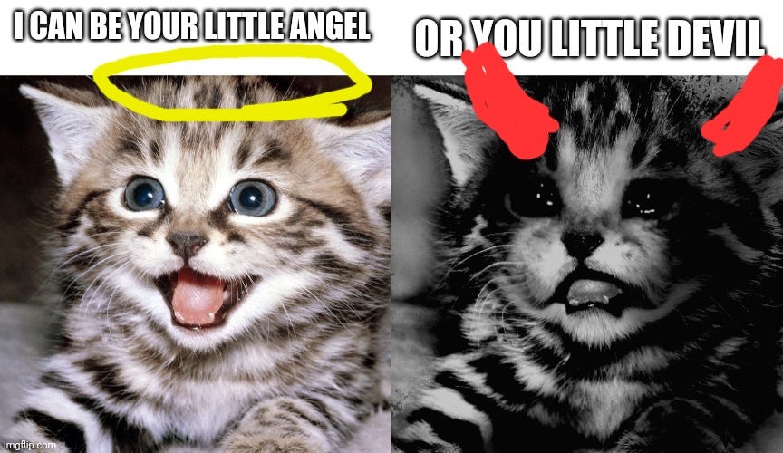 Traumatized Mr. Incredible but It's a crying cat | OR YOU LITTLE DEVIL; I CAN BE YOUR LITTLE ANGEL | image tagged in traumatized mr incredible but it's a crying cat | made w/ Imgflip meme maker