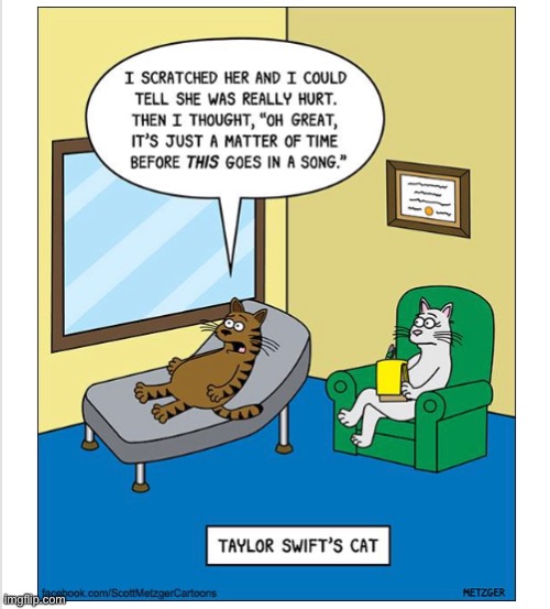 funny cartoon | image tagged in funny,cartoon,taylor swift,cat | made w/ Imgflip meme maker
