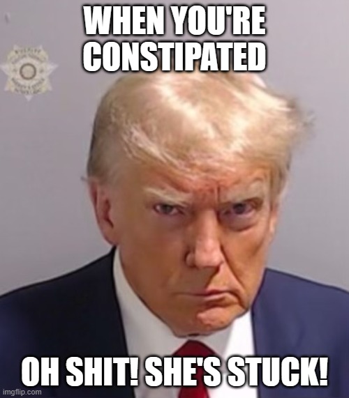 constipation | WHEN YOU'RE CONSTIPATED; OH SHIT! SHE'S STUCK! | image tagged in donald trump mugshot | made w/ Imgflip meme maker