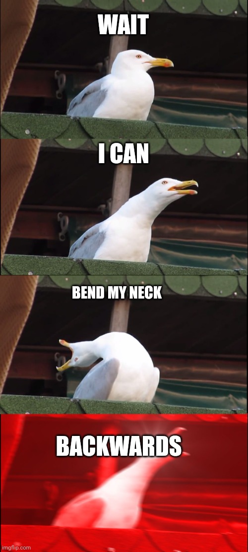 Inhaling Seagull | WAIT; I CAN; BEND MY NECK; BACKWARDS | image tagged in memes,inhaling seagull | made w/ Imgflip meme maker