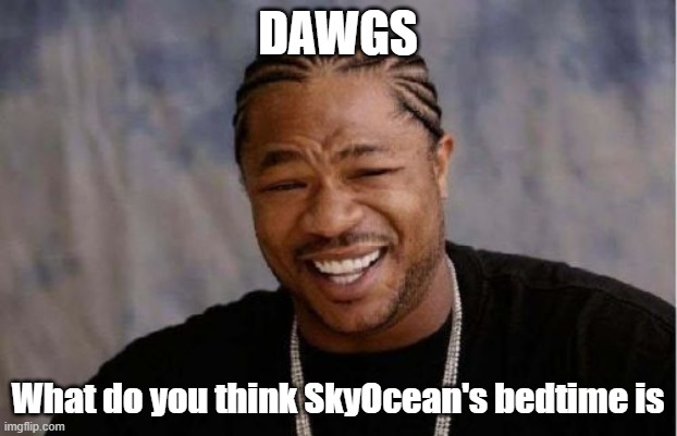 Probably like 8pm like earlier than me I think | DAWGS; What do you think SkyOcean's bedtime is | image tagged in memes,yo dawg heard you | made w/ Imgflip meme maker