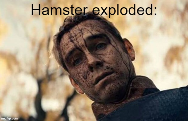 Homelander | Hamster exploded: | image tagged in homelander | made w/ Imgflip meme maker