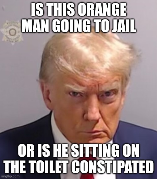 What is this? | IS THIS ORANGE MAN GOING TO JAIL; OR IS HE SITTING ON THE TOILET CONSTIPATED | image tagged in donald trump mugshot | made w/ Imgflip meme maker