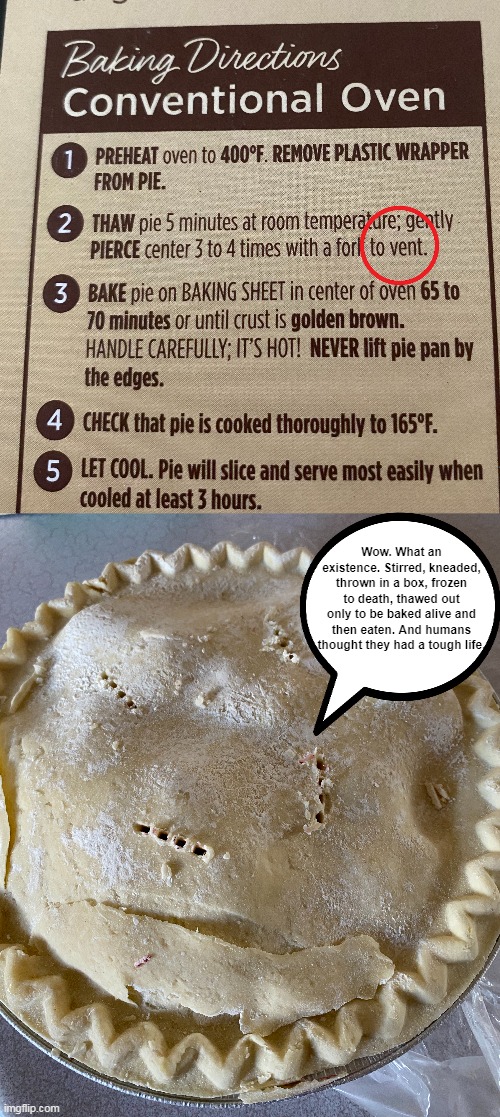Life of Pie | Wow. What an existence. Stirred, kneaded, thrown in a box, frozen to death, thawed out only to be baked alive and then eaten. And humans thought they had a tough life. | image tagged in funny,baking,meme,pie,life | made w/ Imgflip meme maker