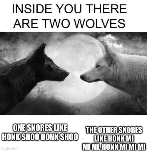 Inside you there are two wolves | ONE SNORES LIKE HONK SHOO HONK SHOO; THE OTHER SNORES LIKE HONK MI MI MI, HONK MI MI MI | image tagged in inside you there are two wolves | made w/ Imgflip meme maker