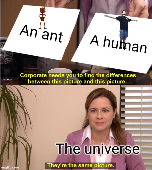 They're The Same Picture Meme | An ant; A human; The universe | image tagged in memes,they're the same picture | made w/ Imgflip meme maker