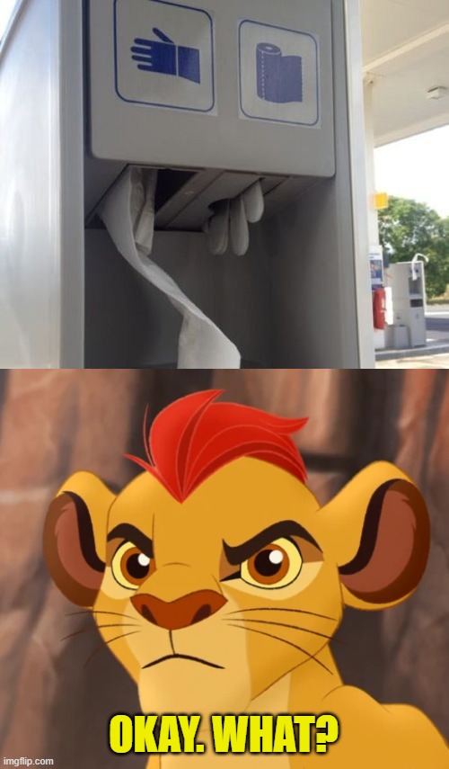 OKAY. WHAT? | image tagged in angry kion,you had one job,memes,funny | made w/ Imgflip meme maker