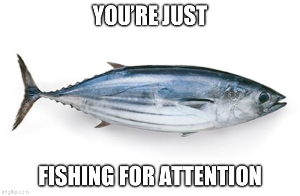 Da feesh | YOU’RE JUST FISHING FOR ATTENTION | image tagged in da feesh | made w/ Imgflip meme maker