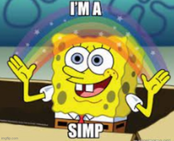 IMA SIMP | image tagged in funny memes | made w/ Imgflip meme maker