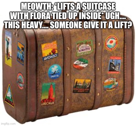 A (Not so) Wonderful Vacation. | MEOWTH: *LIFTS A SUITCASE WITH FLORA TIED UP INSIDE* UGH…. THIS HEAVY…. SOMEONE GIVE IT A LIFT? | image tagged in suitcase | made w/ Imgflip meme maker