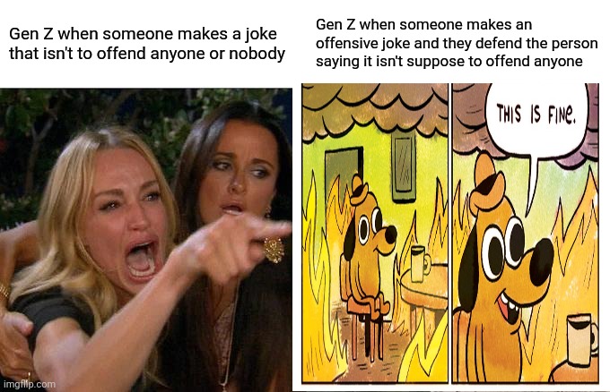 Woman Yelling At Cat | Gen Z when someone makes a joke that isn't to offend anyone or nobody; Gen Z when someone makes an offensive joke and they defend the person saying it isn't suppose to offend anyone | image tagged in memes,woman yelling at cat | made w/ Imgflip meme maker