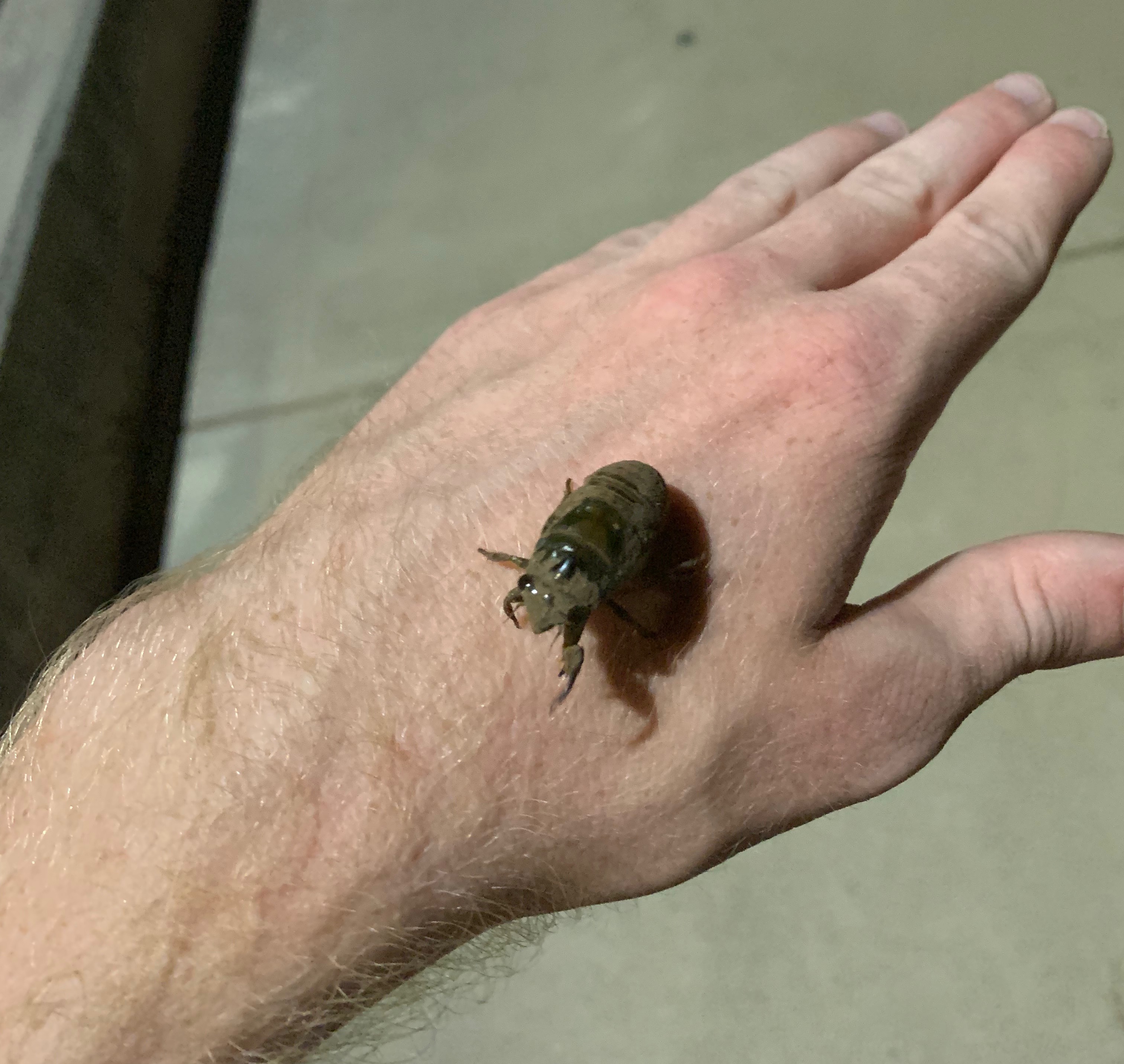 Little man | made w/ Imgflip meme maker