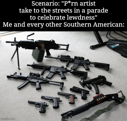 Imma bout to add them to the statistics | Scenario: "P*rn artist take to the streets in a parade to celebrate lewdness"
Me and every other Southern American: | image tagged in guns | made w/ Imgflip meme maker